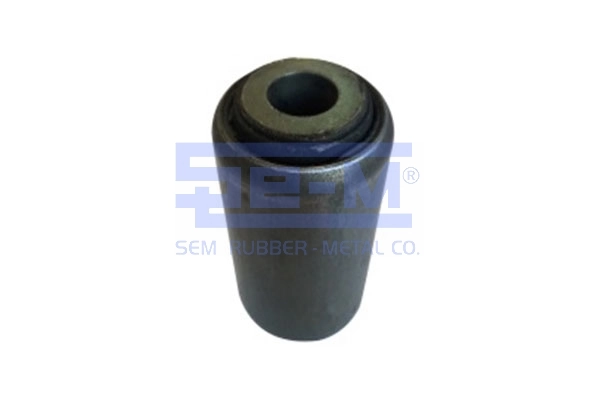 Bushing, leaf spring